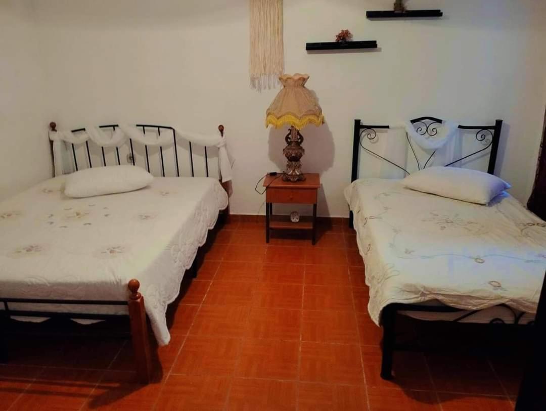 Villa Konstantina Nea Skioni Buitenkant foto